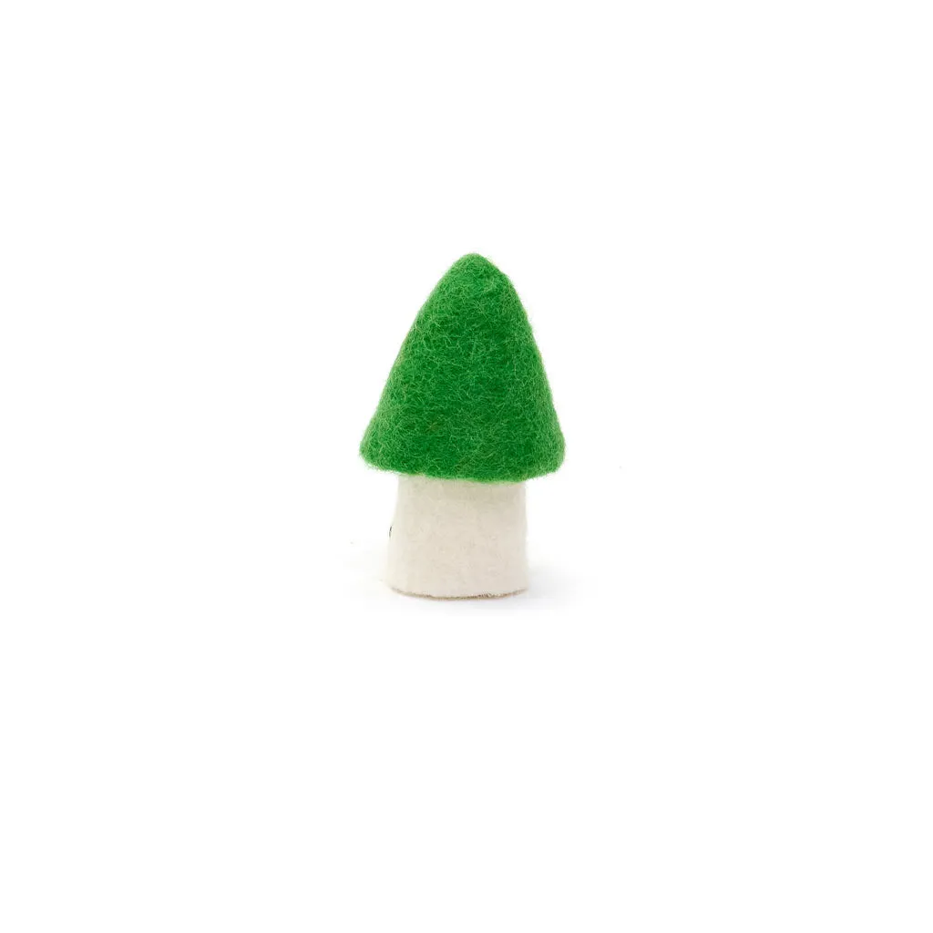 Muskhane Mushroom - Small 8cm - MOREL Chlorophyll