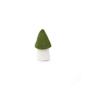 Muskhane Mushroom - Small 8cm - MOREL Olive