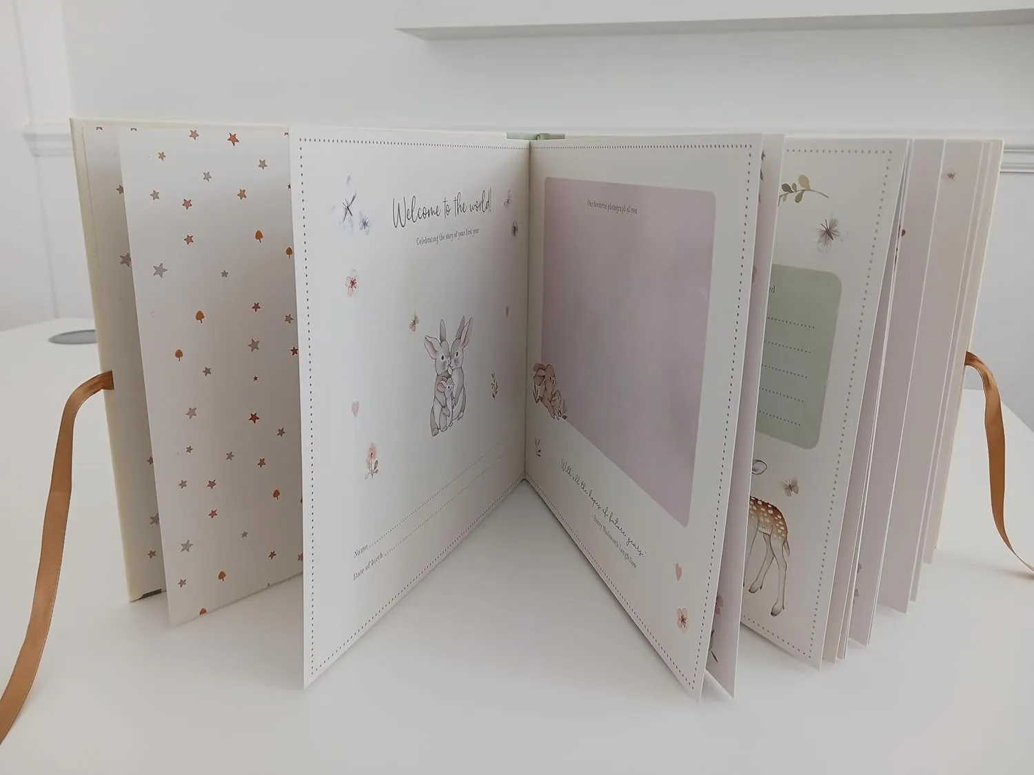Nina Stajner Babys First Year Record Book