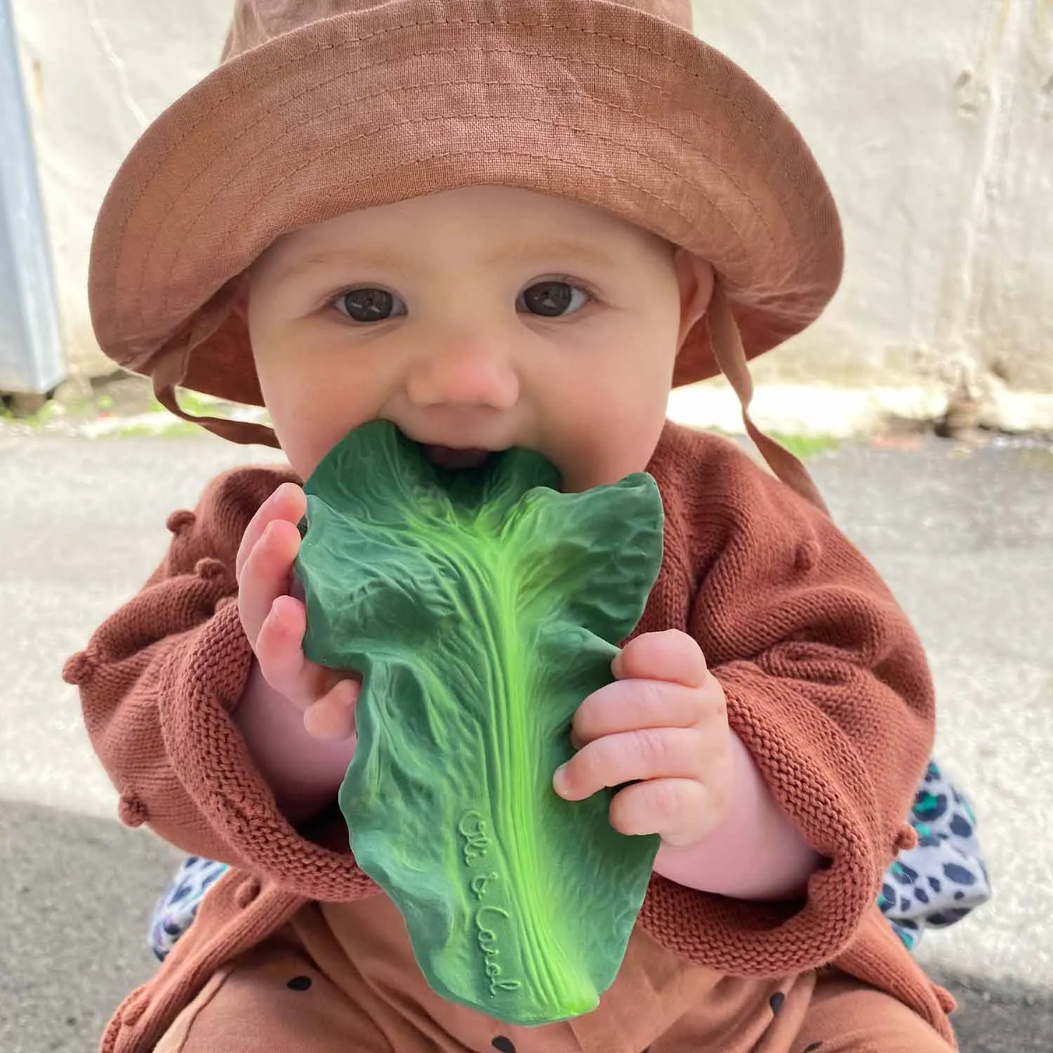 Oli&Carol Teether | Kendall the Kale