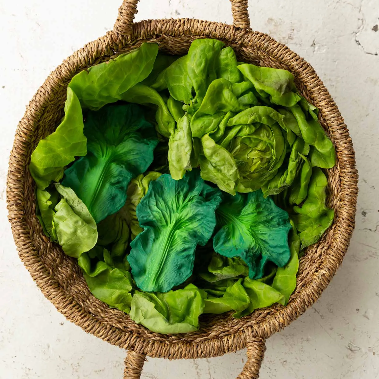 Oli&Carol Teether | Kendall the Kale