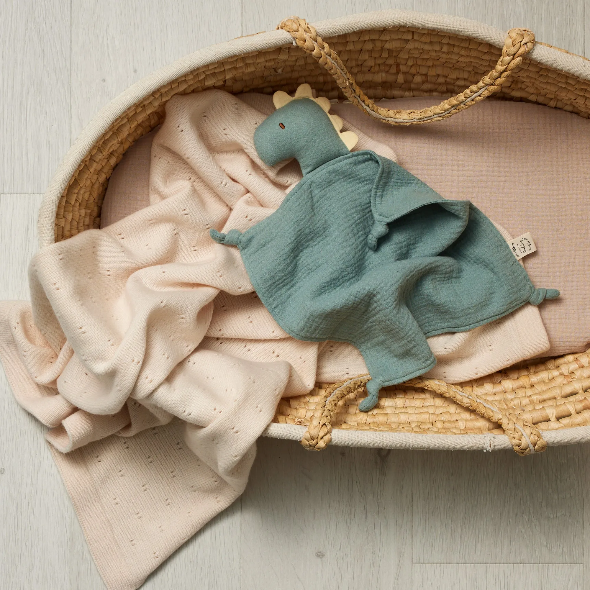 Organic Lovey Muslin | Dinosaur