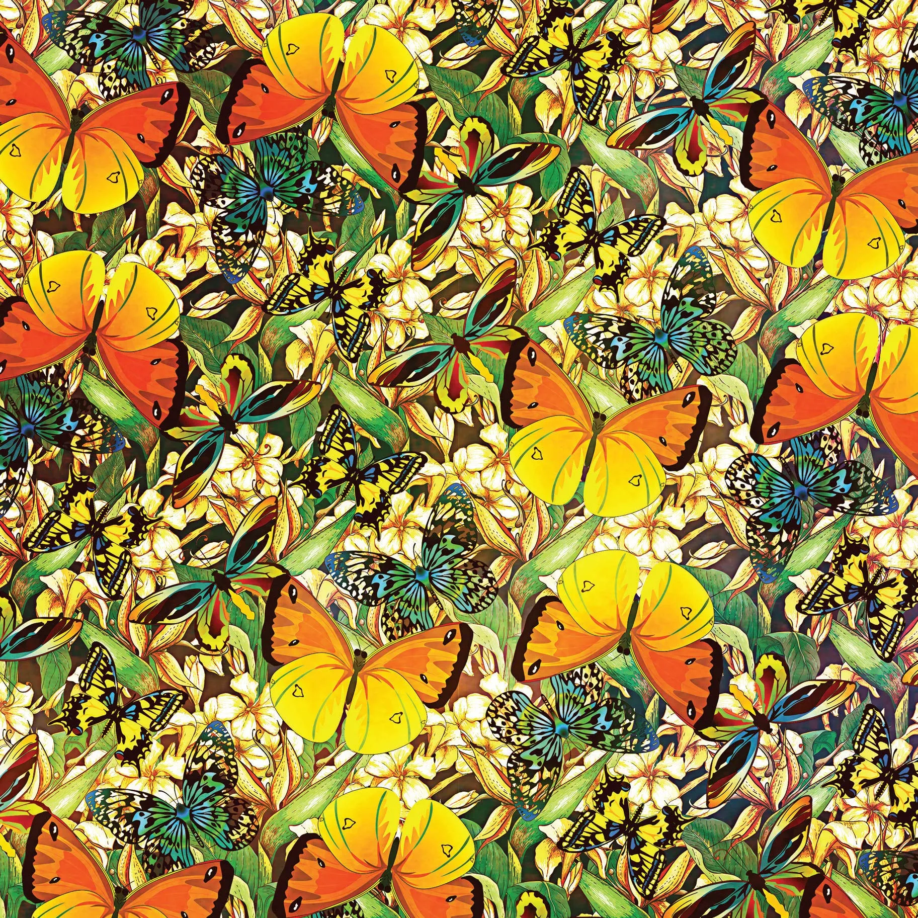 Origami Butterflies Kit: Great for Kids and Adults!