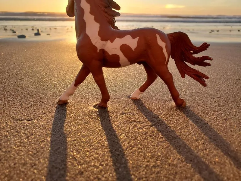 SCHLEICH 13794 Horse Pinto Stallion Figure