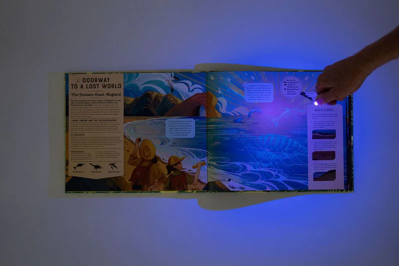 Shine your Magic Torch: Dinosaurs and Prehistoric Beasts