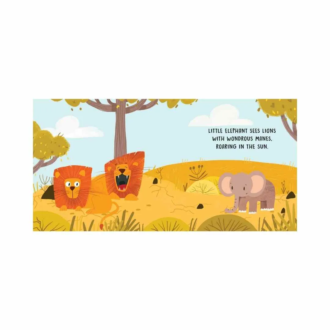 Sweet Sounds Book - The Savannah