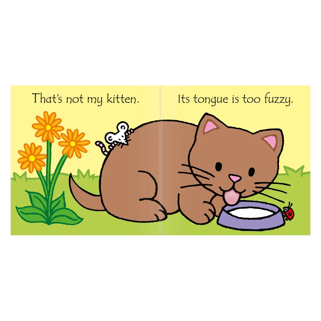 That's Not My Kitten