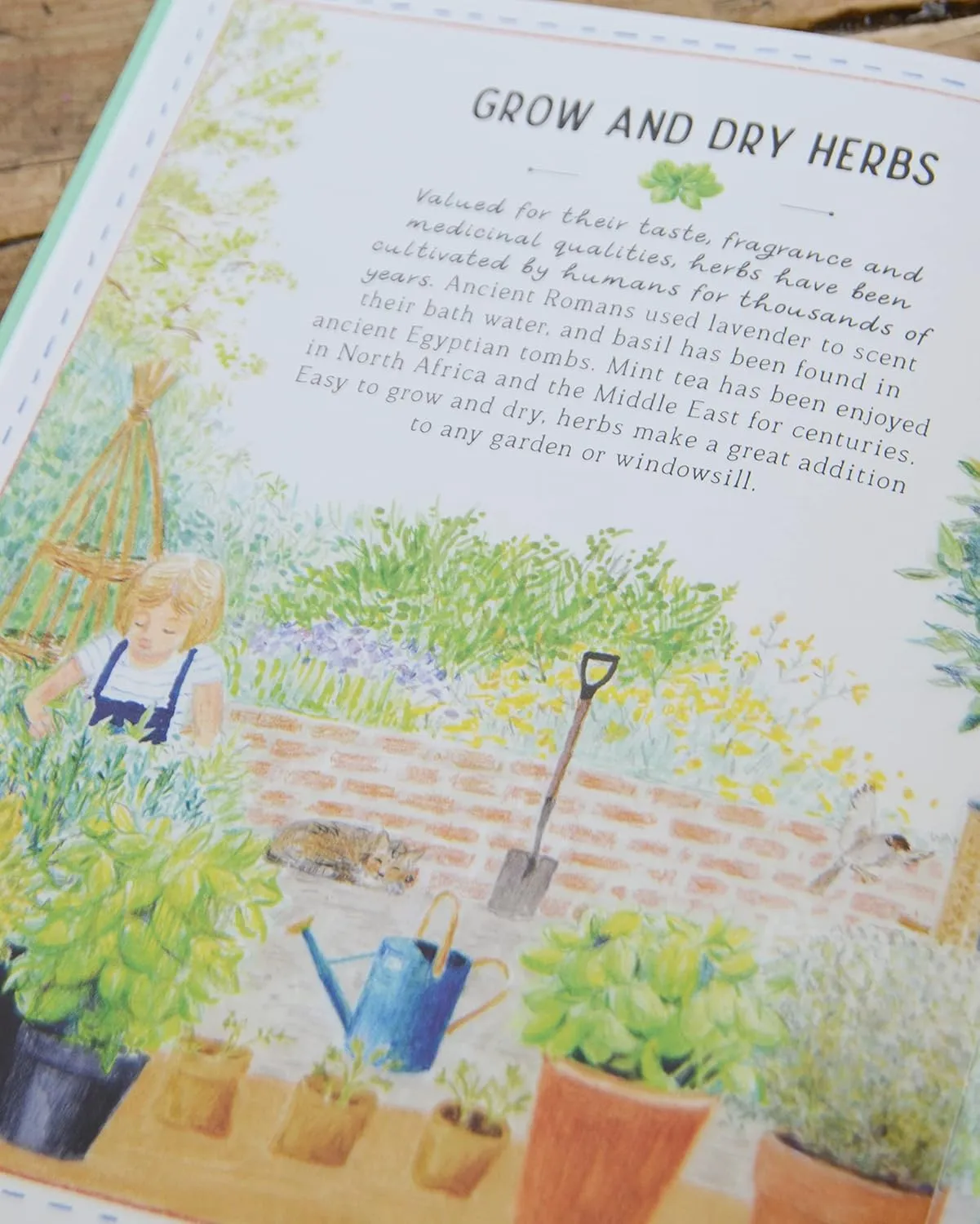 The Handbook of Forgotten Skills - Old fashioned fun for a new generation