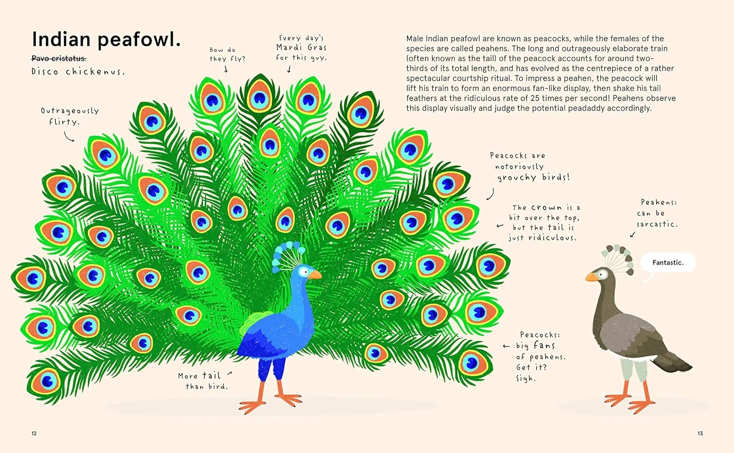 The World's Most Ridiculous Animals