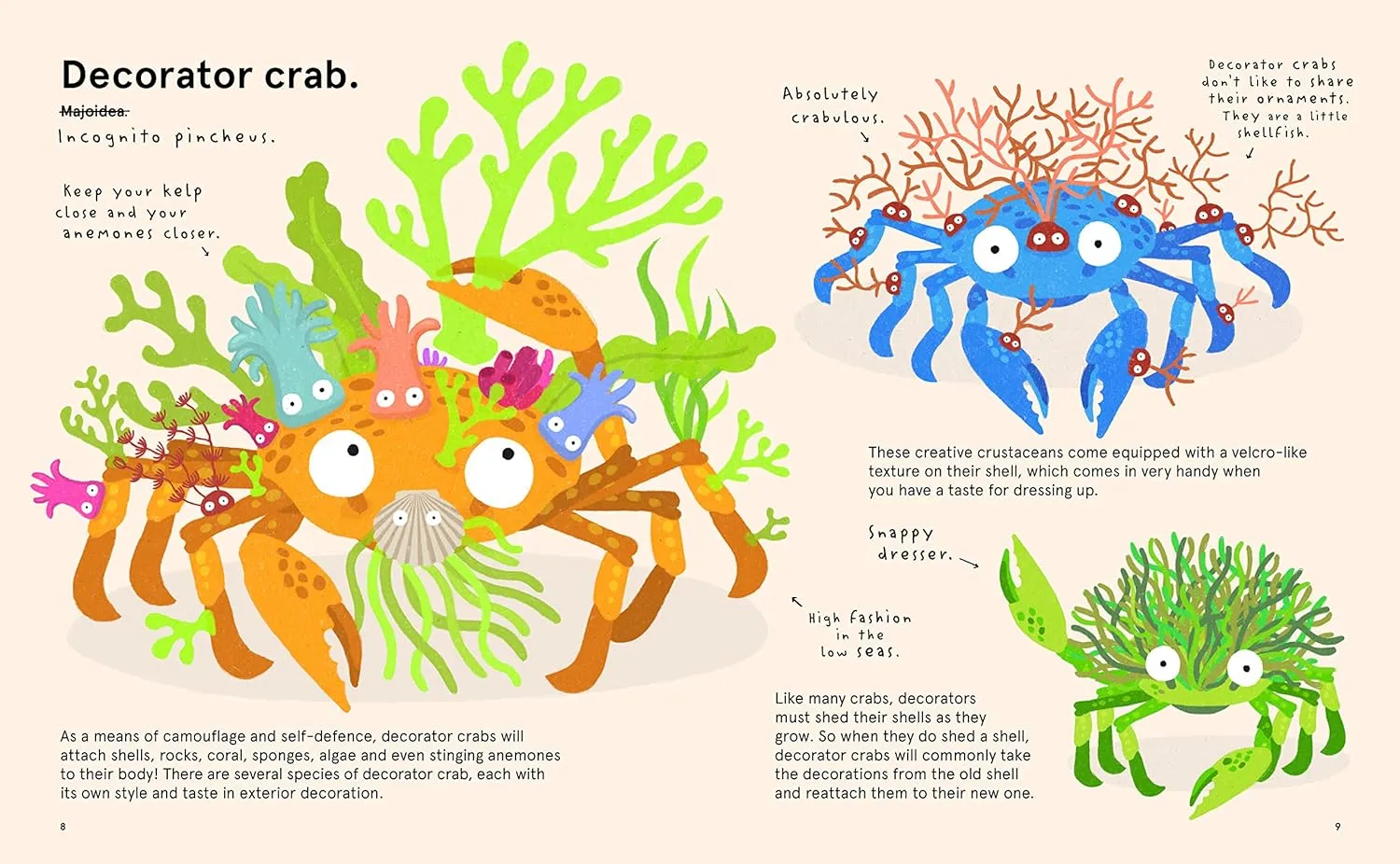 The World's Most Ridiculous Animals