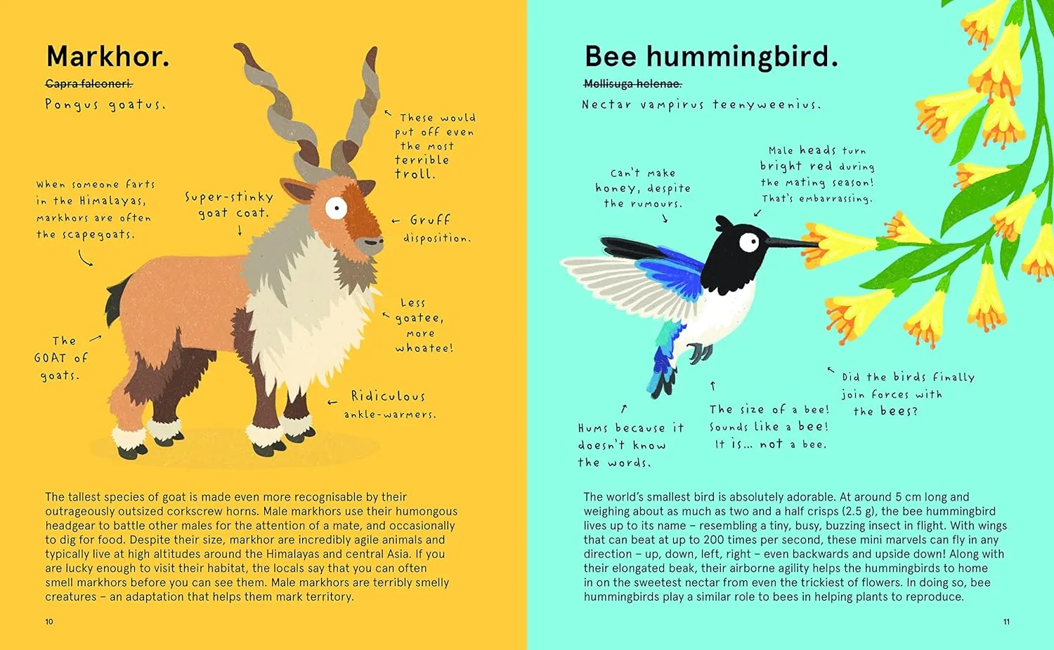 The World's Most Ridiculous Animals