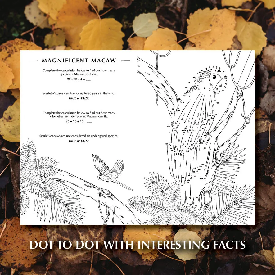 Wild Activity Book