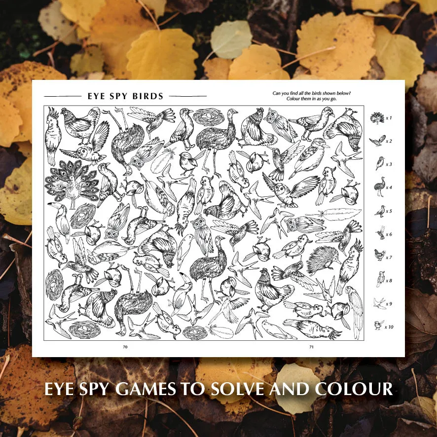 Wild Activity Book