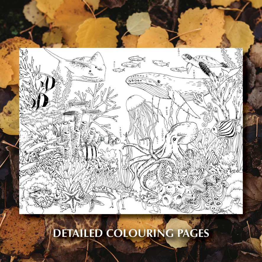 Wild Activity Book
