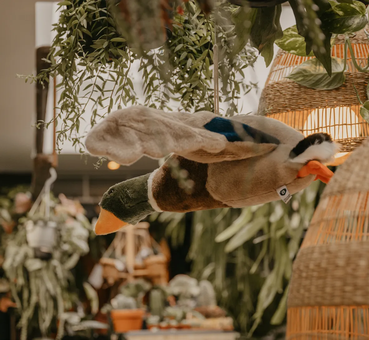 Wild & Soft Alain the Flying Duck