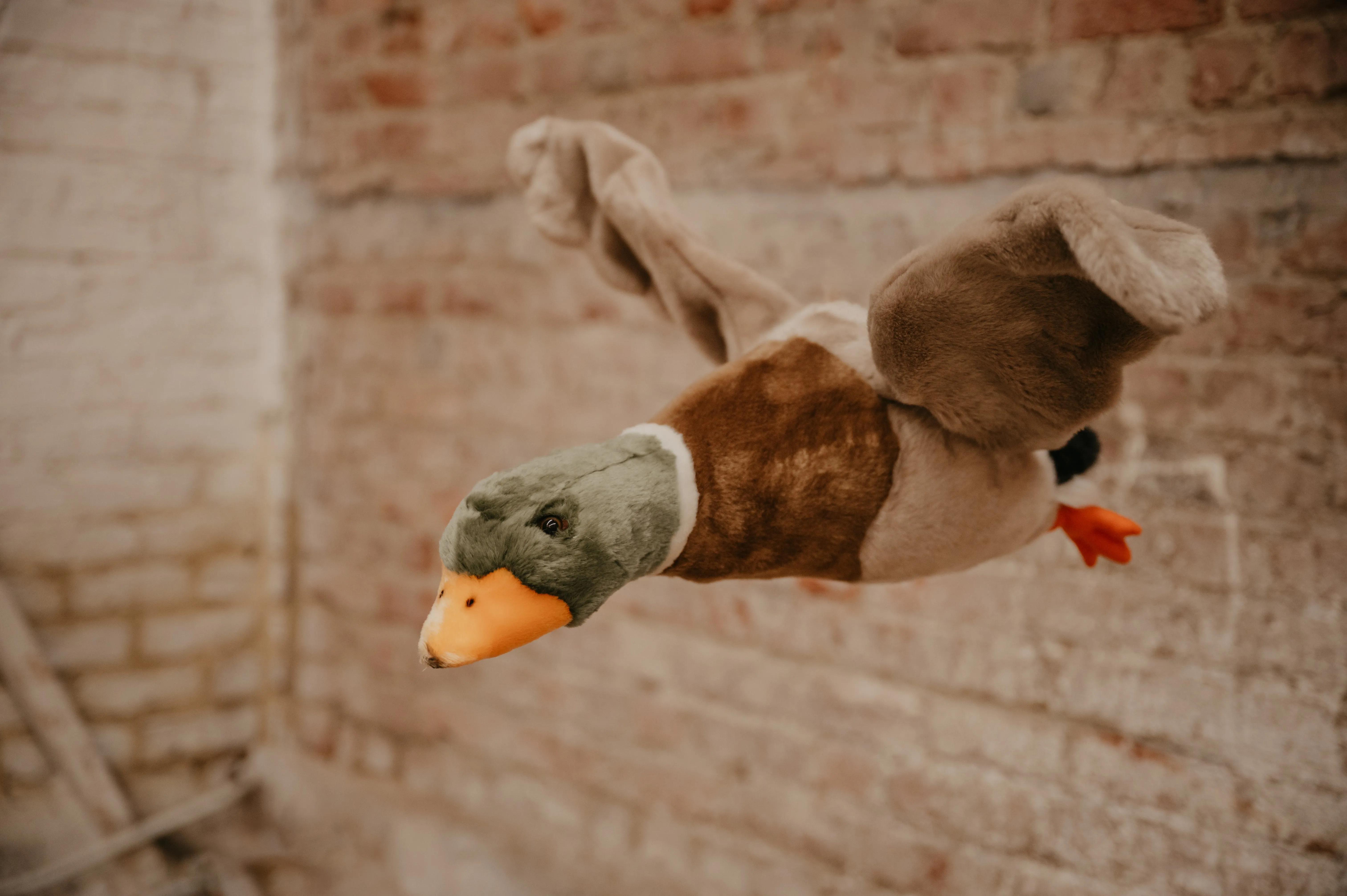 Wild & Soft Alain the Flying Duck
