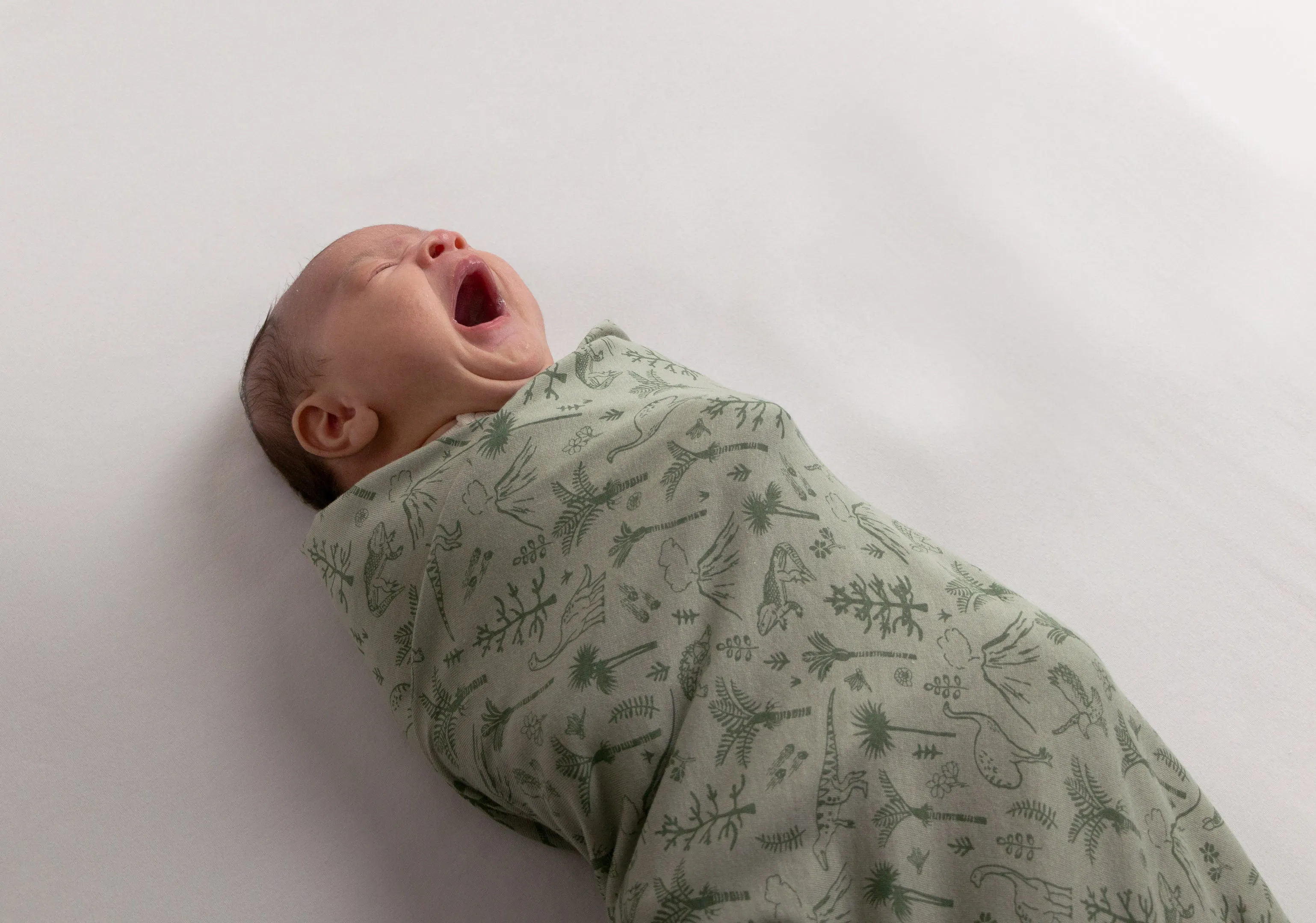 Woolbabe Merino/Organic Cotton Swaddle/Blanket | ZEALANDIA Flax