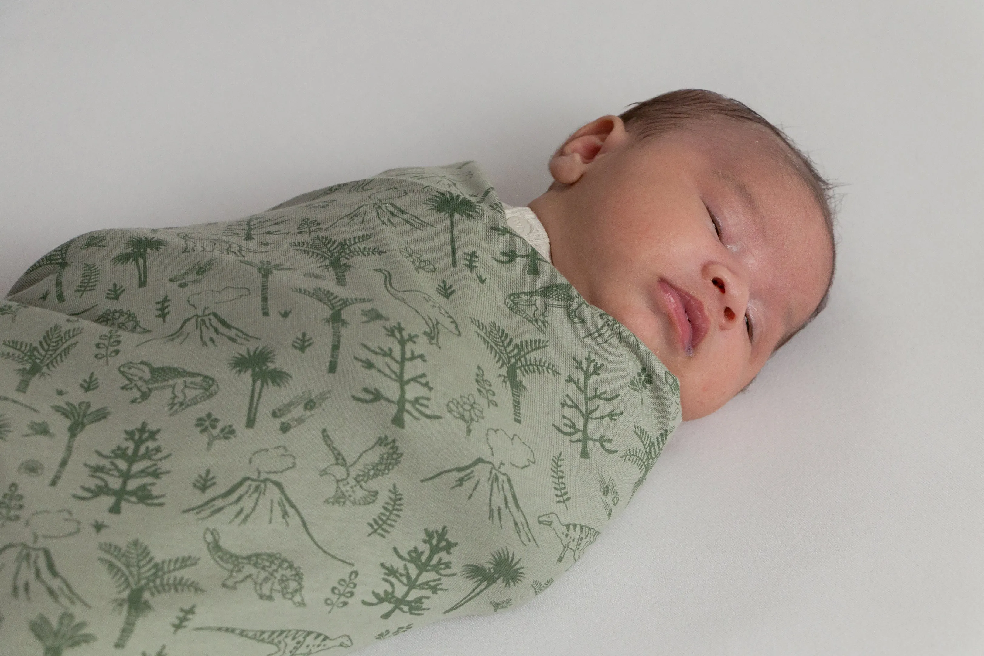 Woolbabe Merino/Organic Cotton Swaddle/Blanket | ZEALANDIA Flax